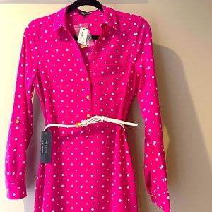 The Limited pink shirt dress